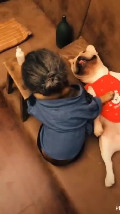 2 chú chó đóng vai bà cháu diễn sâu như thật