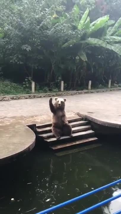 Cho tớ miếng nữa đi nào