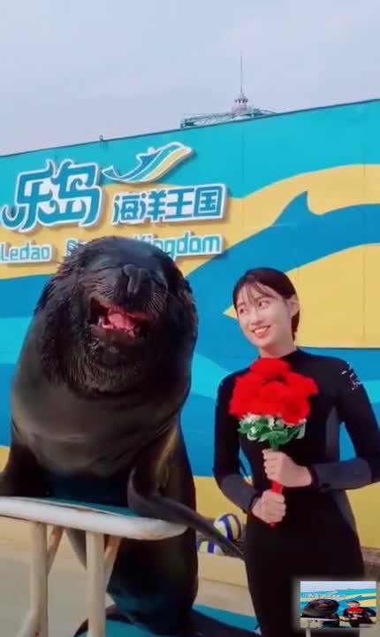 Lợi dụng thời cơ!