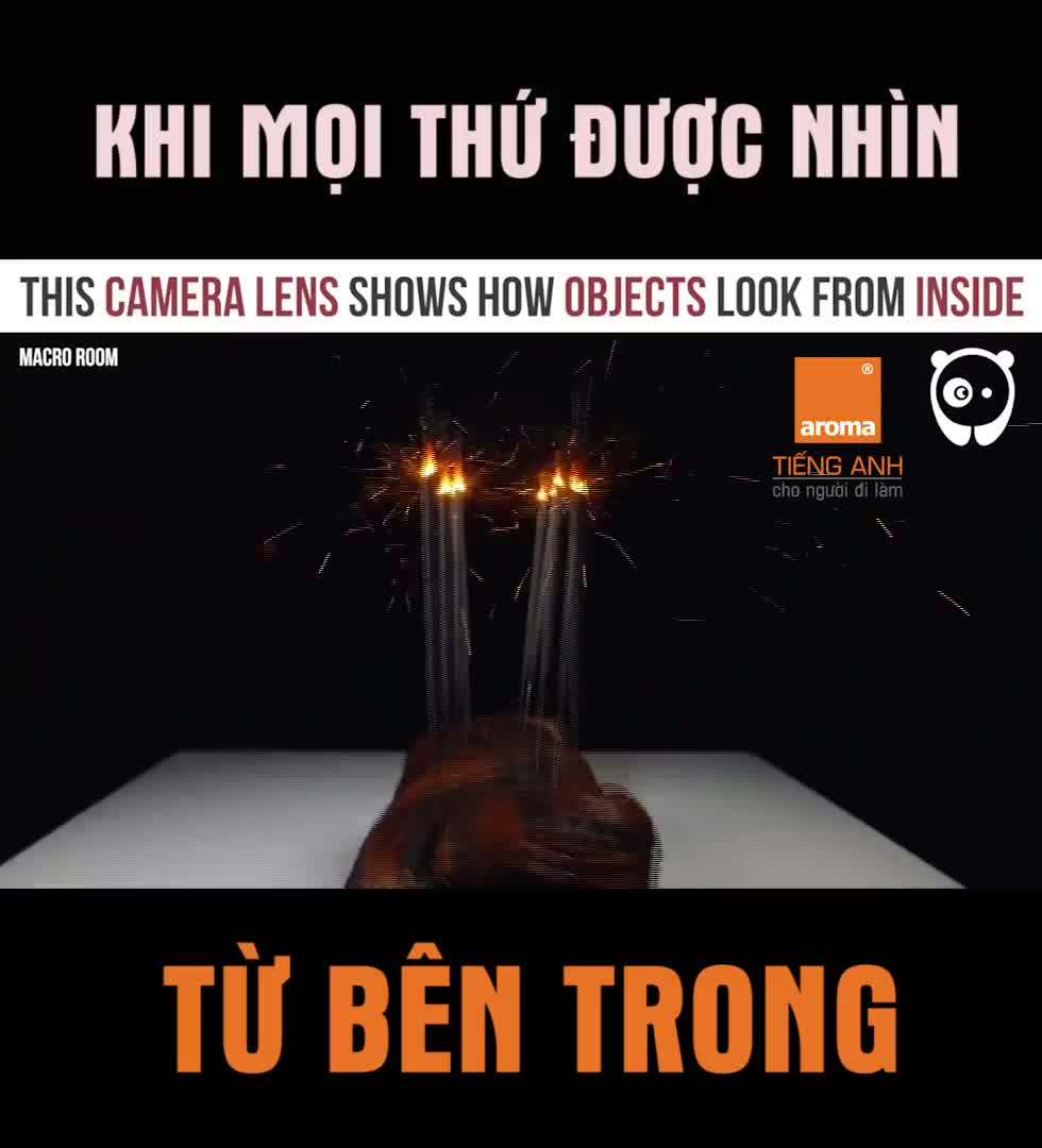 Khi mọi thứ được nhìn từ bên trong