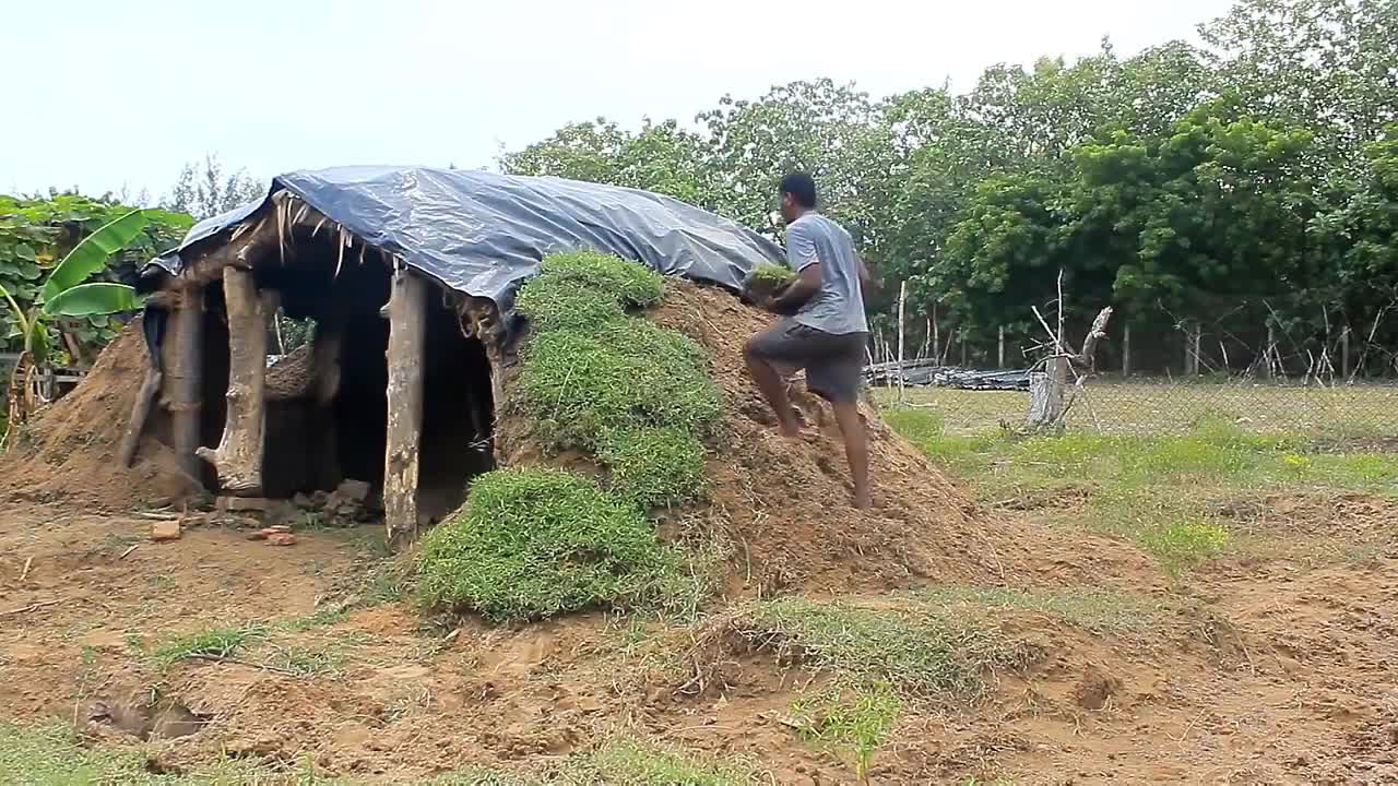 Người nông dân xây căn nhà vô cùng sáng tạo chỉ bằng gốc cây và gạch cũ