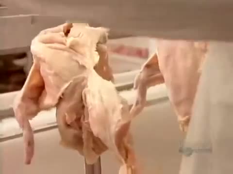 Quy trình sản xuất gà rán