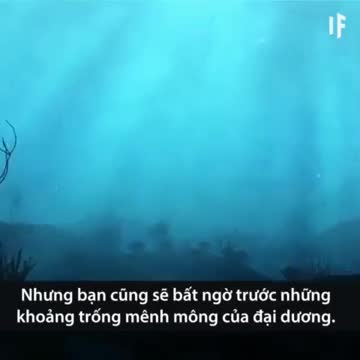 Điều gì xảy ra khi đại dương trong suốt
