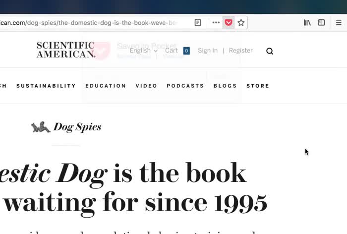 Tính năng pocket của Firefox Quantum
