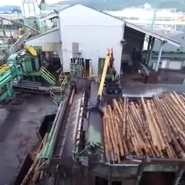 Mê hoặc trước dây chuyền sản xuất gỗ quy mô lớn