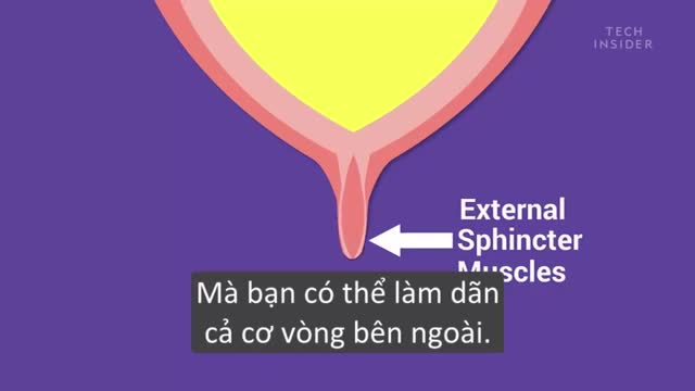 Điều gì sẽ xảy ra khi bạn nhịn đi tiểu