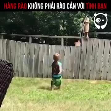 Hàng rào này không phải là rào cản với tình bạn