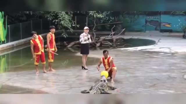 Không sợ công việc khó, chỉ sợ đồng đội không hề thông minh