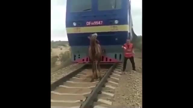 Tránh ra đi, đừng có ngăn cản anh