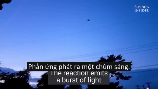 Vì sao đom đóm lại có thể phát sáng