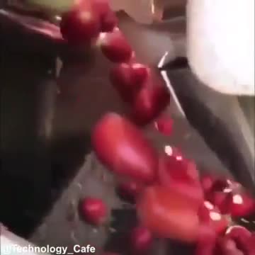 Cỗ máy phân loại cà chua cực kỳ chính xác