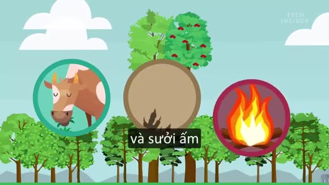 Khám phá các sinh vật sống có chiều cao 'khủng' nhất trong lịch sử trái đất