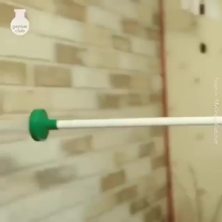 Dụng cụ bắt côn trùng độc lạ, tín đồ sợ gián sẽ rất thích điều này