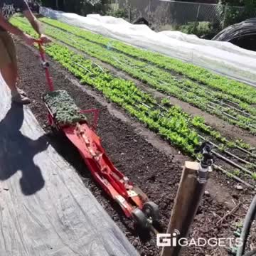 Sáng kiến cực kỳ độc đáo để tối ưu hóa công việc trồng trọt