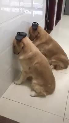 Cuộc vui nào chẳng có lúc tàn