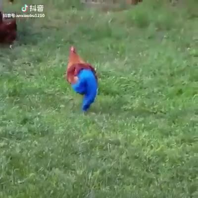Ai đã mặc quần cho nó vậy