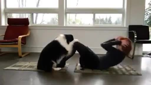 Chú chó tập Yoga 'siêu đỉnh' cùng chủ thật đáng yêu!