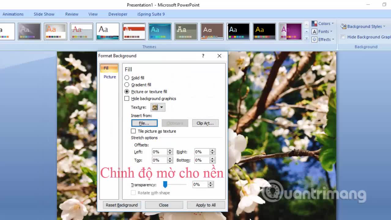 Cách làm mờ ảnh nền trong PowerPoint  Điều chỉnh chế độ hiển thị ảnh  background