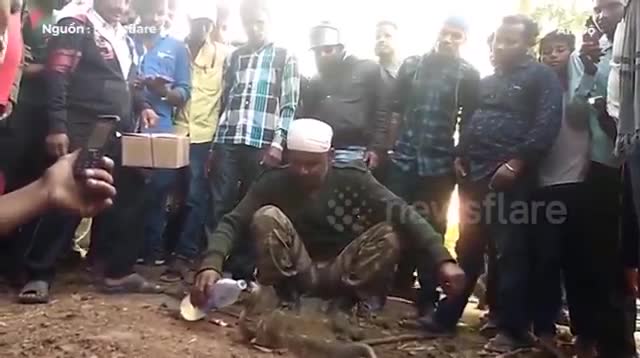 Rắn hổ mang khôn như người, đòi uống nước sau 4 ngày mắc kẹt