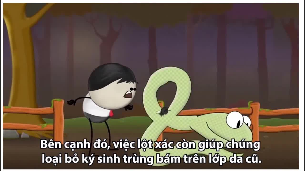 Vì sao rắn lột da
