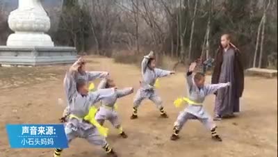 Tiểu hòa thượng 3 tuổi ở Thiếu Lâm Tự nổi tiếng với tài múa võ