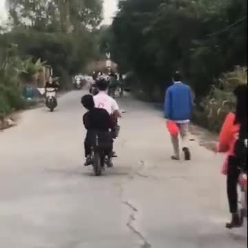 Best tổ lái là đây