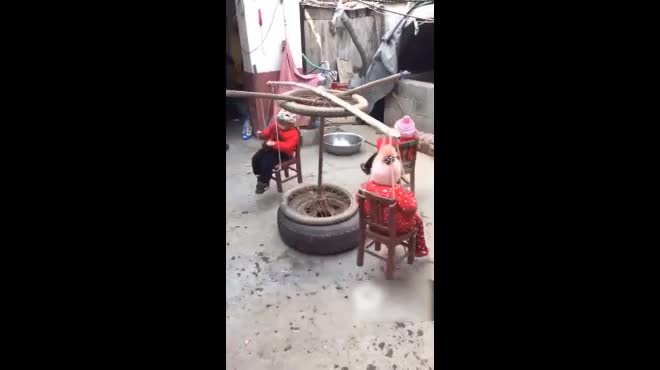 Cười sặc với những trò chơi 'hại não' nhất trên đời