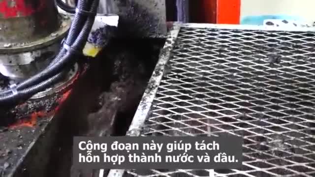 Cận cảnh quy trình ép nguội dầu olive theo kiểu truyền thống