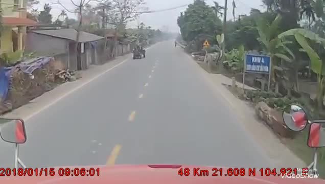 Xe đạp sang đường không nhìn khiến container đạp thắng chúi đầu