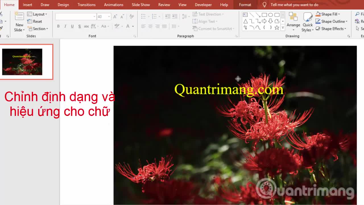 Cách viết chữ vào ảnh trong PowerPoint