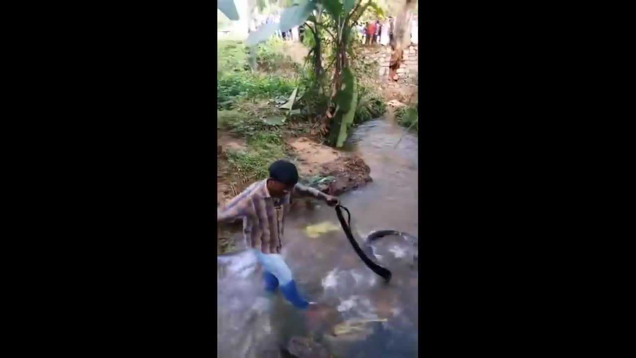 Thót tim cảnh người đàn ông bắt hổ mang chúa khổng lồ dưới suối