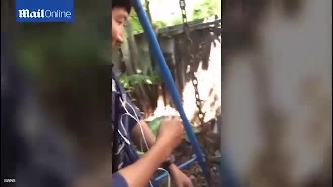 Thót tim xem lính cứu hoả tay không bắt rắn hổ mang chúa