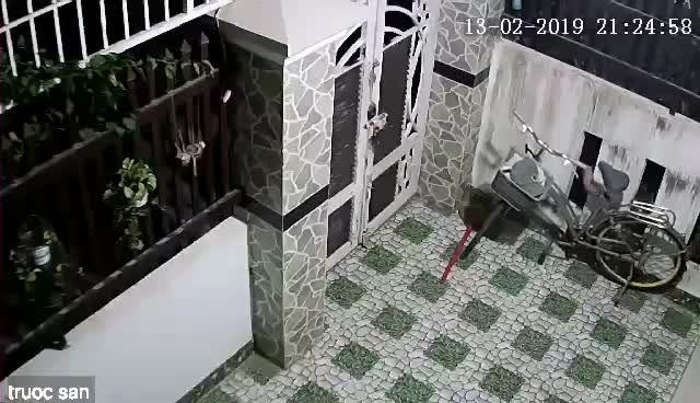 Tên trộm kỳ quặc loay hoay ăn cắp chiếc yên xe đạp