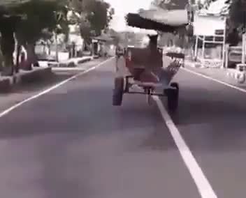 Xe ngựa 'tốc độ cao', ai muốn đi thử nào!