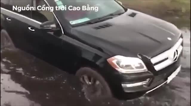 Ôtô mắc kẹt được xe trâu kéo thoát khỏi đầm lầy
