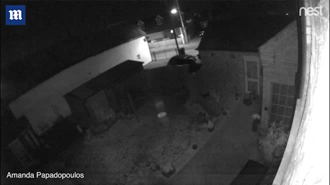 Xem lại camera gắn bên ngoài nhà, thấy cảnh rợn người lúc nửa đêm
