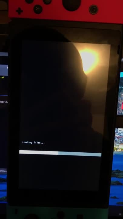 Nintendo Switch boots Windows 10 ARM64 rs417134