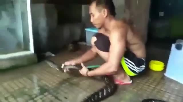Rùng mình cảnh người đàn ông tắm cho rắn 'khủng' như chăm thú cưng