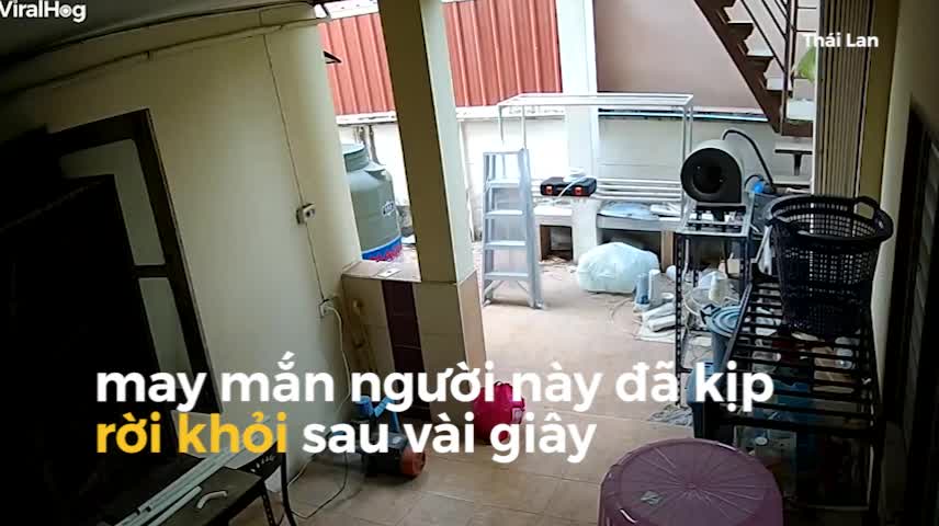 Hãi hùng cảnh rắn độc bất ngờ rơi từ trần nhà xuống, suýt trúng gia chủ