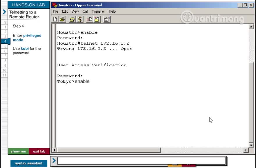 Telnetting to a Remote Router