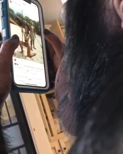 Tinh tinh sử dụng Instagram