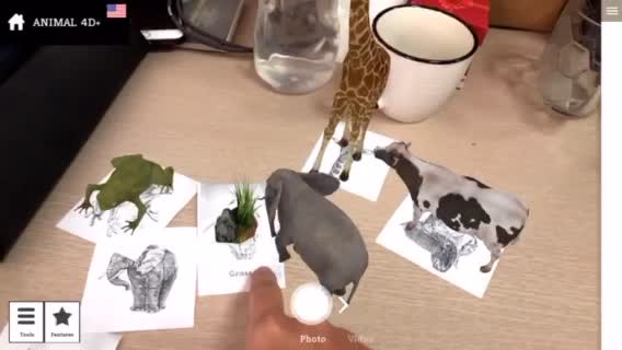 Ghép con vật với đồ ăn trên Animal 4D