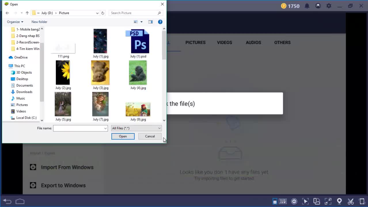 Cách đưa ảnh, dữ liệu từ máy tính vào BlueStacks