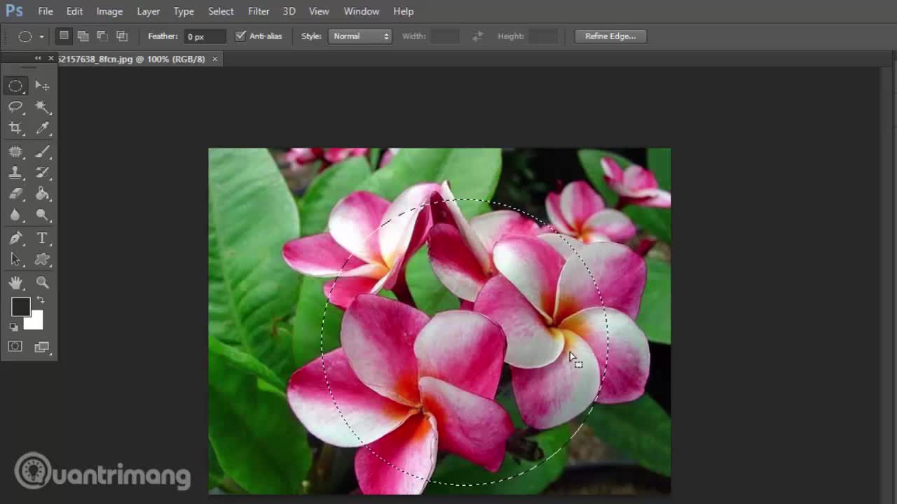 Cách cắt ảnh hình tròn trong Photoshop