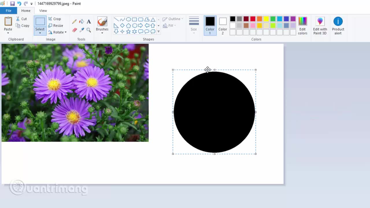 Cách cắt ảnh hình tròn trên Paint