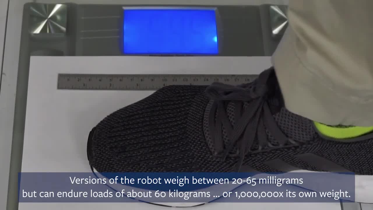 This robot has some eerie similarities to cockroaches