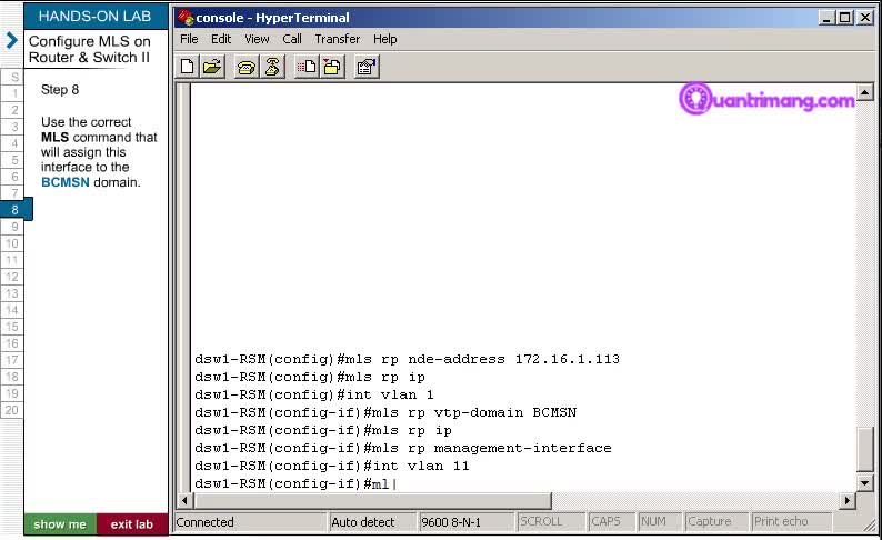 Configuring MLS on Router and Switch II