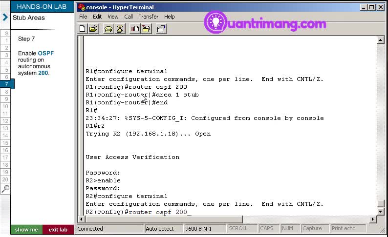 Stub area trong CCNP