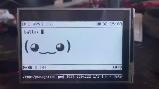All framebuffer based displays will be supported in the next release 