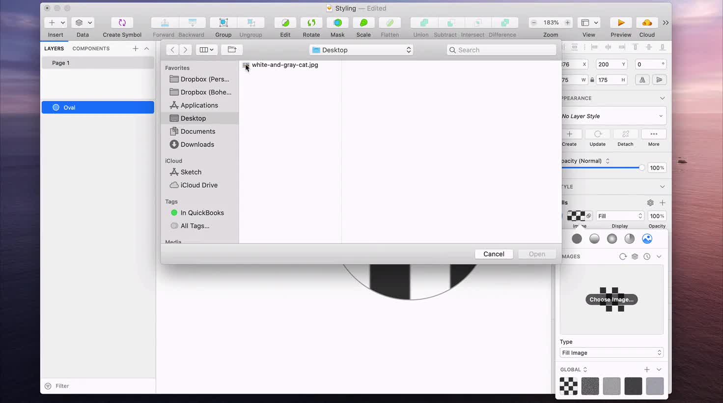 Tính năng Image Fill trong Sketch